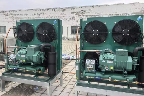 安徽民航藍(lán)天旅行服務(wù)有限公司冷庫外機機組安裝工程